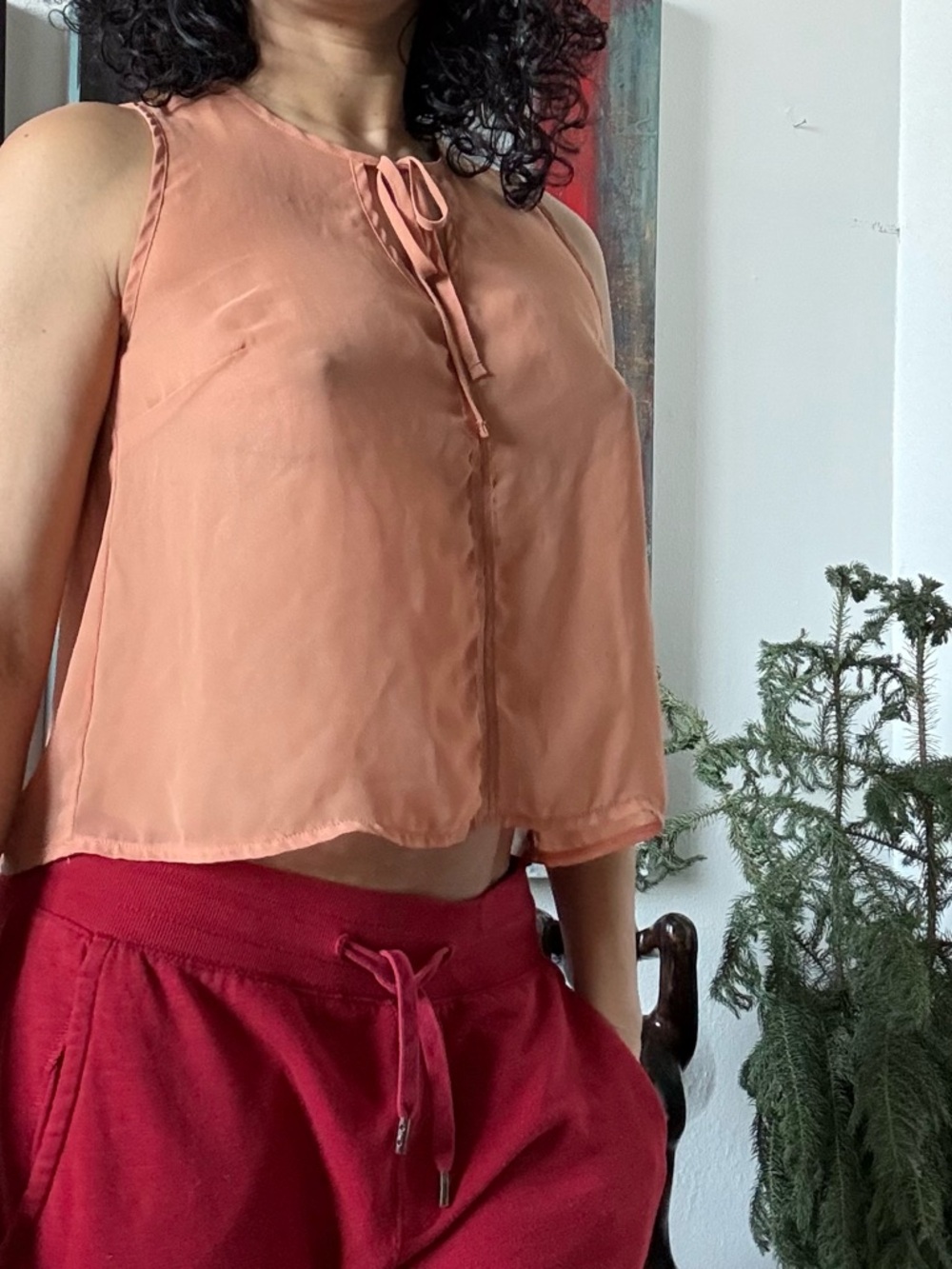 🇧🇷 Sleeveless Peach Tie-Front Crop Tank Top